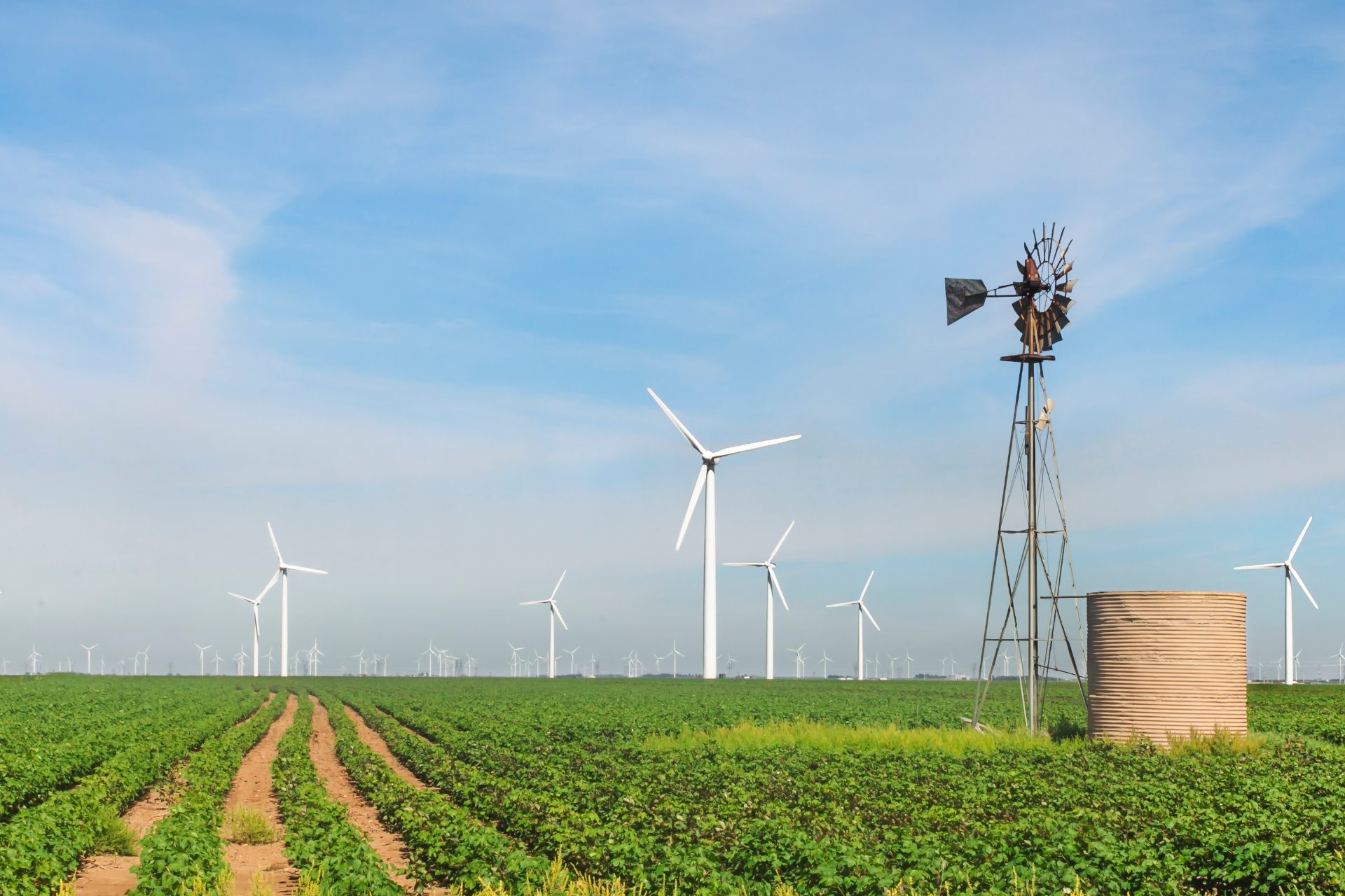 Wind turbine farm